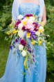 /album/kuvagalleria-kuvagalleria-photogallery2/img-0113-jpg/